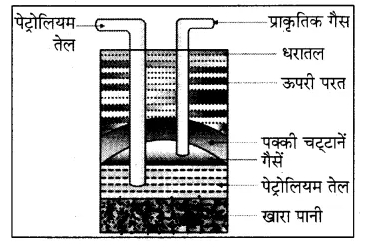 Rajasthan Board RBSE Class 8 Science Chapter 18 कार्बन और ईंधन 6