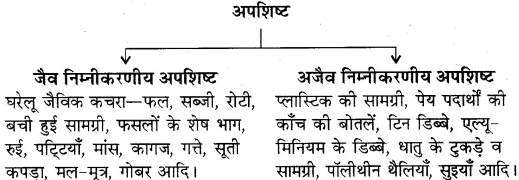 RBSE Solutions for Class 10 Science Chapter 13 अपशिष्ट एवं इसका प्रबंधन image - 1