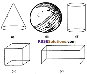 RBSE Solutions for Class 6 Maths Chapter 10 Understanding Three Dimensional Shapes Ex 10.1 image 1