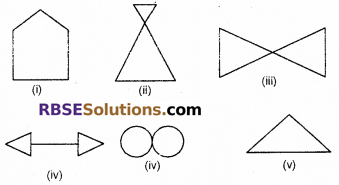 RBSE Solutions for Class 6 Maths Chapter 11 Symmetry Ex 11.1 image 3
