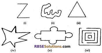 RBSE Solutions for Class 6 Maths Chapter 9 Simple Two Dimensional Shapes Ex 9.1 image 1