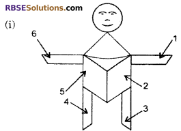 RBSE Solutions for Class 6 Maths Chapter 9 Simple Two Dimensional Shapes Ex 9.3 image 3