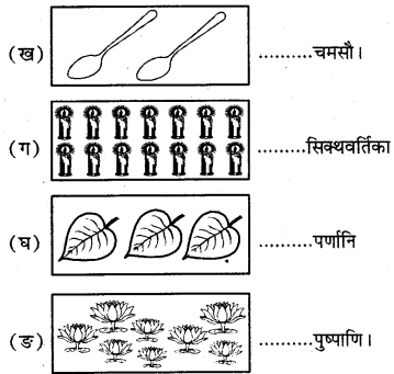 RBSE Solutions for Class 6 Sanskrit Chapter 10 संख्याज्ञानम् 3