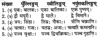 RBSE Solutions for Class 6 Sanskrit Chapter 10 संख्याज्ञानम् 8