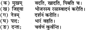 RBSE Solutions for Class 6 Sanskrit Chapter 11 किं श्रेष्ठम् 3