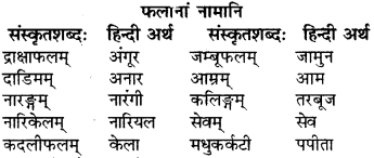 RBSE Solutions for Class 6 Sanskrit Chapter 11 किं श्रेष्ठम् 7