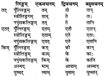 RBSE Solutions for Class 6 Sanskrit Chapter 11 किं श्रेष्ठम् 8