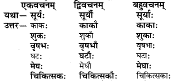 RBSE Solutions for Class 6 Sanskrit Chapter 2 अकारान्त-पुँल्लिङ्गशब्दप्रयोगः 5