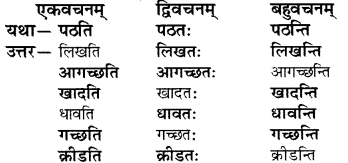 RBSE Solutions for Class 6 Sanskrit Chapter 2 अकारान्त-पुँल्लिङ्गशब्दप्रयोगः 6