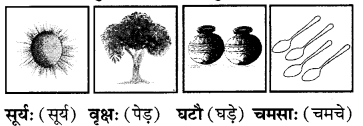 RBSE Solutions for Class 6 Sanskrit Chapter 2 अकारान्त-पुँल्लिङ्गशब्दप्रयोगः 7
