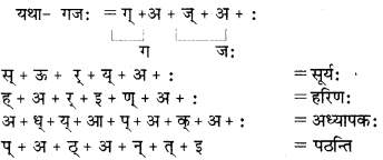 RBSE Solutions for Class 6 Sanskrit Chapter 2 अकारान्त-पुँल्लिङ्गशब्दप्रयोगः 8
