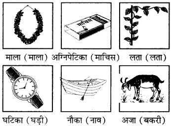 RBSE Solutions for Class 6 Sanskrit Chapter 3 आकारान्त-स्त्रीलिङ्गशब्दप्रयोगः 1