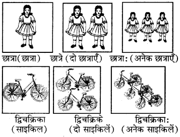 RBSE Solutions for Class 6 Sanskrit Chapter 3 आकारान्त-स्त्रीलिङ्गशब्दप्रयोगः 2