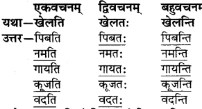 RBSE Solutions for Class 6 Sanskrit Chapter 3 आकारान्त-स्त्रीलिङ्गशब्दप्रयोगः 5