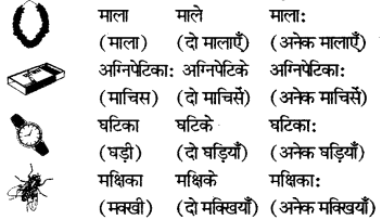 RBSE Solutions for Class 6 Sanskrit Chapter 3 आकारान्त-स्त्रीलिङ्गशब्दप्रयोगः 6