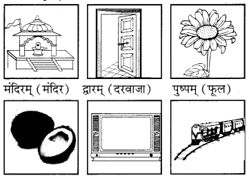 RBSE Solutions for Class 6 Sanskrit Chapter 4 अकारान्त-नपुंसकलिङ्गशब्दप्रयोगः 1