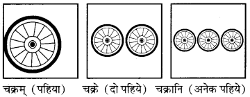 RBSE Solutions for Class 6 Sanskrit Chapter 4 अकारान्त-नपुंसकलिङ्गशब्दप्रयोगः 2