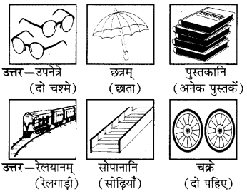 RBSE Solutions for Class 6 Sanskrit Chapter 4 अकारान्त-नपुंसकलिङ्गशब्दप्रयोगः 7