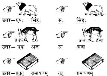 RBSE Solutions for Class 6 Sanskrit Chapter 5 सर्वनाम-शब्दप्रयोगः (एतत्-तत्-किम्) 1