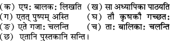 RBSE Solutions for Class 6 Sanskrit Chapter 5 सर्वनाम-शब्दप्रयोगः (एतत्-तत्-किम्) 10