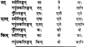 RBSE Solutions for Class 6 Sanskrit Chapter 5 सर्वनाम-शब्दप्रयोगः (एतत्-तत्-किम्) 11