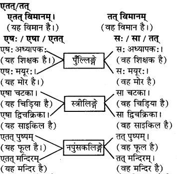 RBSE Solutions for Class 6 Sanskrit Chapter 5 सर्वनाम-शब्दप्रयोगः (एतत्-तत्-किम्) 12