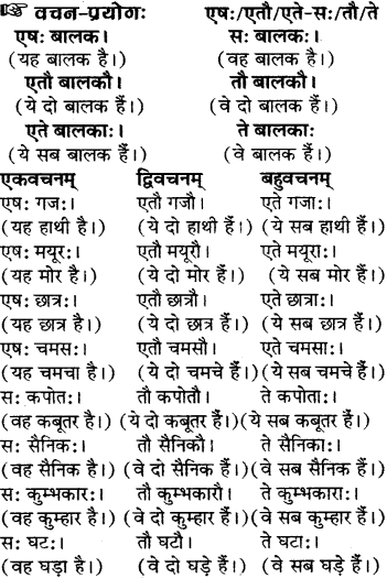 RBSE Solutions for Class 6 Sanskrit Chapter 5 सर्वनाम-शब्दप्रयोगः (एतत्-तत्-किम्) 13
