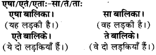 RBSE Solutions for Class 6 Sanskrit Chapter 5 सर्वनाम-शब्दप्रयोगः (एतत्-तत्-किम्) 14