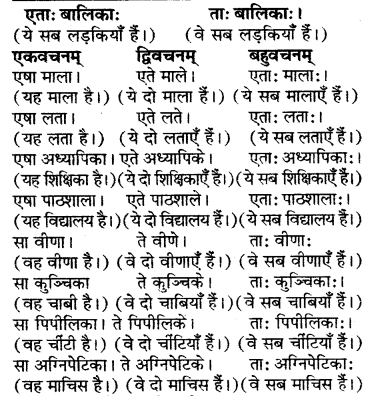 RBSE Solutions for Class 6 Sanskrit Chapter 5 सर्वनाम-शब्दप्रयोगः (एतत्-तत्-किम्) 15