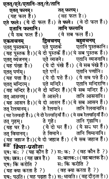 RBSE Solutions for Class 6 Sanskrit Chapter 5 सर्वनाम-शब्दप्रयोगः (एतत्-तत्-किम्) 16