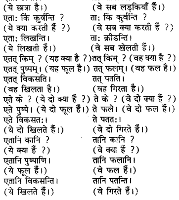 RBSE Solutions for Class 6 Sanskrit Chapter 5 सर्वनाम-शब्दप्रयोगः (एतत्-तत्-किम्) 19