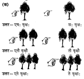 RBSE Solutions for Class 6 Sanskrit Chapter 5 सर्वनाम-शब्दप्रयोगः (एतत्-तत्-किम्) 3