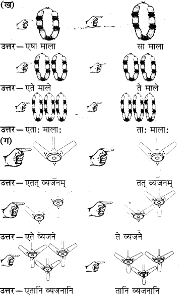 RBSE Solutions for Class 6 Sanskrit Chapter 5 सर्वनाम-शब्दप्रयोगः (एतत्-तत्-किम्) 4