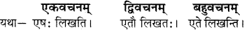 RBSE Solutions for Class 6 Sanskrit Chapter 5 सर्वनाम-शब्दप्रयोगः (एतत्-तत्-किम्) 6