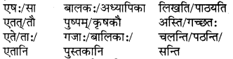 RBSE Solutions for Class 6 Sanskrit Chapter 5 सर्वनाम-शब्दप्रयोगः (एतत्-तत्-किम्) 9