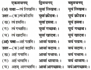 RBSE Solutions for Class 6 Sanskrit Chapter 6 सर्वनाम-शब्दप्रयोगः (अस्मद्-युष्मद्) 3