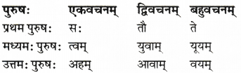RBSE Solutions for Class 6 Sanskrit Chapter 6 सर्वनाम-शब्दप्रयोगः (अस्मद्-युष्मद्) 4
