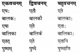 RBSE Solutions for Class 6 Sanskrit Chapter 6 सर्वनाम-शब्दप्रयोगः (अस्मद्-युष्मद्) 5