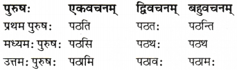 RBSE Solutions for Class 6 Sanskrit Chapter 6 सर्वनाम-शब्दप्रयोगः (अस्मद्-युष्मद्) 6