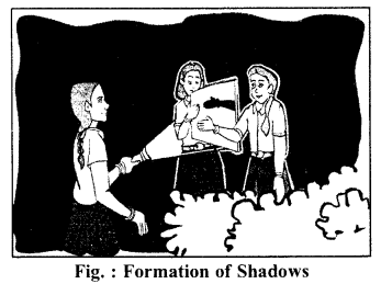RBSE Solutions for Class 6 Science Chapter 16 Light and Shadows 3