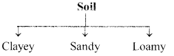 RBSE Solutions for Class 6 Science Chapter 17 Air, Water and Soil 8