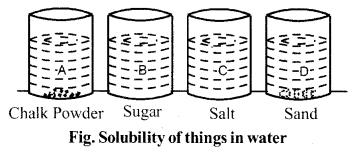RBSE Solutions for Class 6 Science Chapter 3 Nature of Things 3
