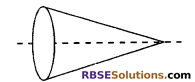 RBSE Solutions for Class 7 Maths Chapter 11 Symmetry In Text Exercise - 1