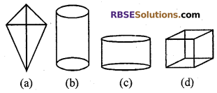 RBSE Solutions for Class 7 Maths Chapter 12 Visualizing Solid Shapes Ex 12.1 - 3