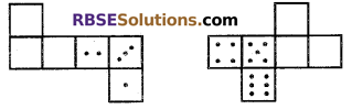 RBSE Solutions for Class 7 Maths Chapter 12 Visualizing Solid Shapes Ex 12.1 - 6