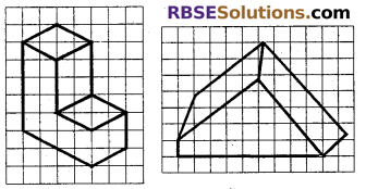 RBSE Solutions for Class 7 Maths Chapter 12 Visualizing Solid Shapes Ex 12.2 - 2