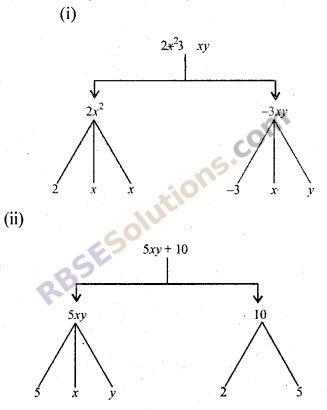 RBSE Solutions for Class 7 Maths Chapter 13 Algebraic Expression Additional Questions