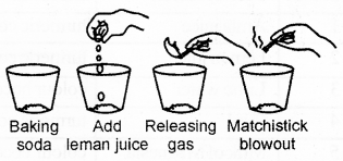 RBSE Solutions for Class 7 Science Chapter 5 Acids, Bases and Salts 1
