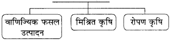 RBSE Solutions for Class 8 Social Science Chapter 4 भूमि संसाधन और कृषि 2