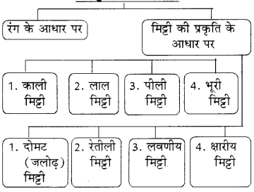 RBSE Solutions for Class 8 Social Science Chapter 4 भूमि संसाधन और कृषि 3
